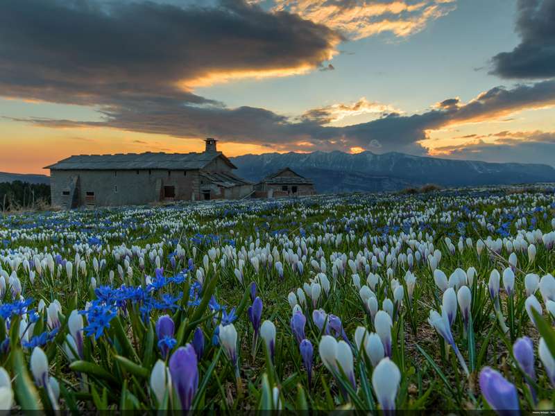 Val di Sole - Dimaro - fototeca Trentino Sviluppo spa - foto di Ronny Kiaulehn